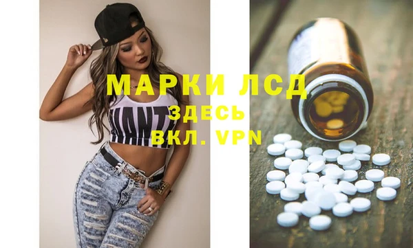 стаф Новокубанск