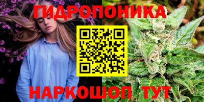 spice Донецк