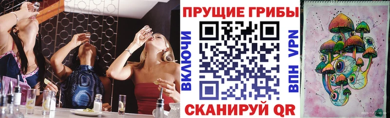 закладки  Новоалександровск  гидра tor  Галлюциногенные грибы Psilocybe 