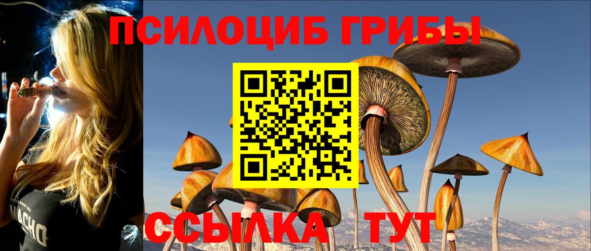 Псилоцибиновые грибы MAGIC MUSHROOMS Новоалександровск