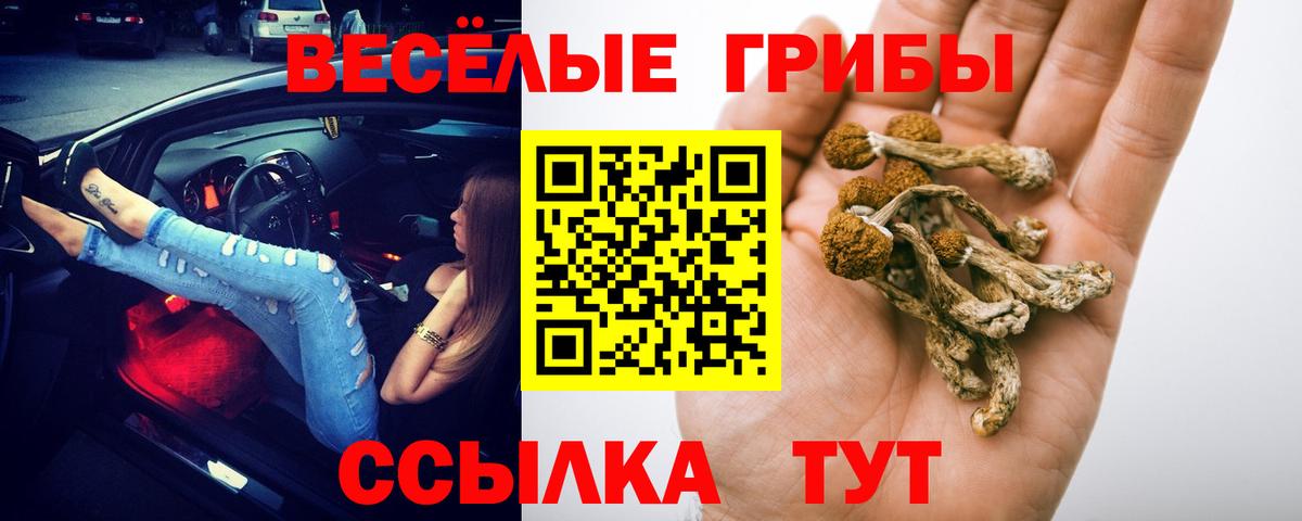 Псилоцибиновые грибы MAGIC MUSHROOMS  Вход с VPN  Новоалександровск 