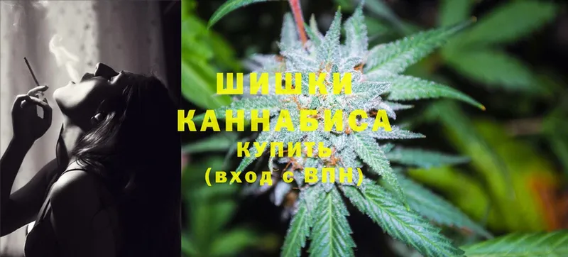 Шишки марихуана THC 21%  нарко площадка телеграм  Новоалександровск  как найти закладки 